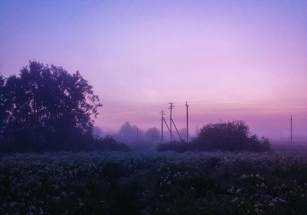 网红在傍晚时分遭遇丑闻 欲罢不能,黑料全网炸锅,详情点击