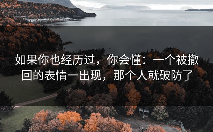 如果你也经历过,你会懂:一个被撤回的表情一出现,那个人就破防了